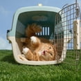 thumbnail image 6 of Oodles 20" Plastic Travel Pet Kennel with Clip On Bowl, Blue, 6 of 13