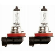 Lindmeyers H11 Halogen 55W 12V Low-Beam Car/Auto Headlight/Fog/Driving Light Bulbs in Clear, Pack of 2