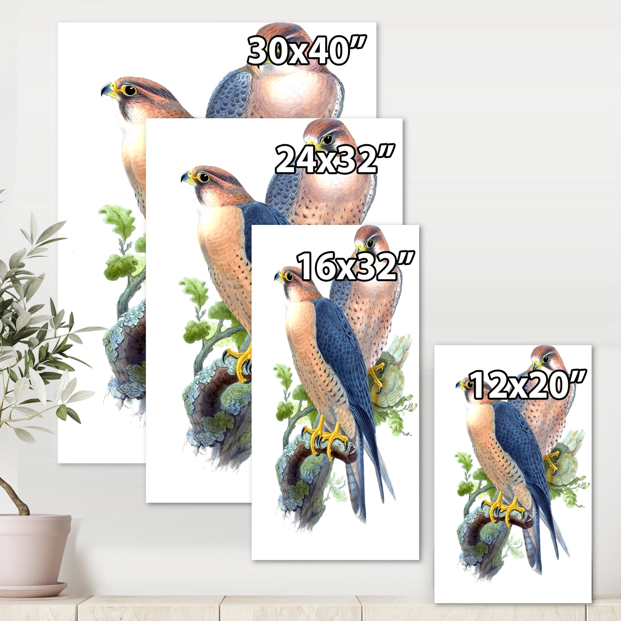 Designart ' Ancient Birds II ' Traditional Canvas Wall Art Print