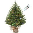 thumbnail image 5 of Lolsea 2ft Prelit Artificial Small Mini Christmas Tree with Color LED Lights, Remote Control and Timer, Perfect for Xmas Tabletop Decorations, 5 of 8