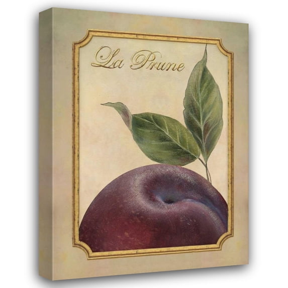 Delphine Corbin 14x18 Gallery Wrapped Canvas Wall Art Titled - La Prune