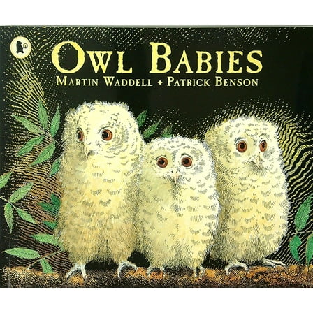 Owl Babies