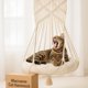 thumbnail image 1 of Hamaca para Gatos KARCEEY Macramé Colgante con Hierba Gatera para 18 kg, 1 of 7