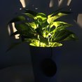 thumbnail image 4 of Maceta Decoración Luz Impermeable Solar Maceta Lámpara Control De Iluminación Paisaje Luz Decorativa Con 0,25 W Lámpara De Sombrero De Paja Interruptor De Botón De Cuentas Para Jardín Hogar 2 Uds Speravity HA016811-00, 4 of 6