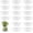 Clear, variant on 20 Pack 6 Inch Plant Saucers Clear Plastic Plant Saucer Drip Trays Small Plant Plate Dish for Indoor Flower Pots and Planters, Bulk