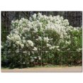 thumbnail image 1 of Flowers Usda Ceramic Tile Mural Kitchen Backsplash Bathroom Shower 405106-L43, 1 of 3