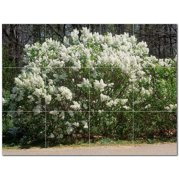 Flowers Usda Ceramic Tile Mural Kitchen Backsplash Bathroom Shower 405106-L43