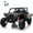 Black, variant on LUIBAS 24V 2 Seater Kids Ride on Car Kids UTV, 4x4 Electric Toy Car Electric Vehicles for Big Kids Off-Road with Remote Control and EVA Rubber Tire Wheels for Boys and Girls Best Gifts, Black