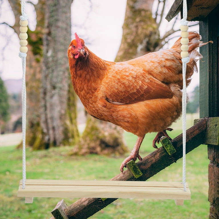 Large Chicken Coop Swing Wooden Training Perch Pet Standing Rack