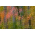 thumbnail image 2 of OBrien, Jay 14x11 White Modern Wood Framed Museum Art Print Titled - VA, Great Falls Park Abstract of autumn trees, 2 of 4