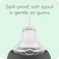 thumbnail image 3 of Sippy Cup NUK Learner, 150 ml, 6 meses o más, sin BPA, 1 paquete, 3 of 8
