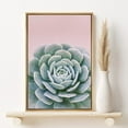 thumbnail image 2 of PixonSign Framed Canvas Print Wall Art Lily Pad Succulent on Pink Background Nature Plants Photography Realism Modern Scenic Colorful Green Pastel for Living Room, Bedroom, Office - 24"x36" Natural, 2 of 5