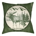thumbnail image 2 of Indoor Outdoor LGCB2025-2222 Square 22" x 22" Pillow Cover + Polyfill, 2 of 7