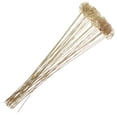 thumbnail image 2 of KAKOWELY 30 unidades de portatarjetas florales con alambre de metal, para colocar ramos de flores, tarjetas, fotos, notas, clips dorados para centro de mesa redondo., 2 of 4