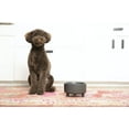 thumbnail image 2 of Waggo Uplift Cuenco De Cerámica Para Perros Para Razas Pequeñas, Medianas Y Grandes, Pesado Y Duradero, Plato De Comida Y Agua Para Mascotas, Apto Para Lavavajillas, Comedero Elevado Moderno (Terracot, 2 of 5