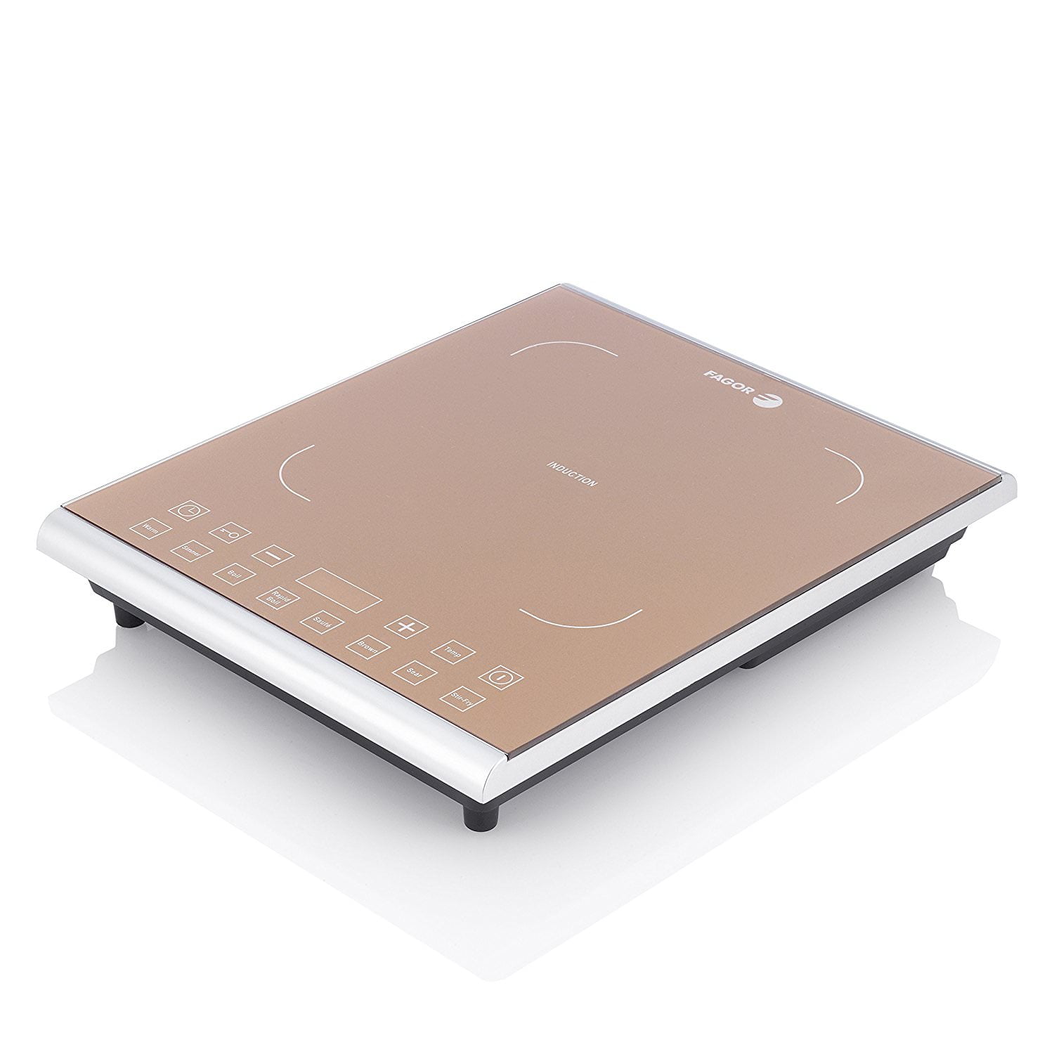 fagor induction plus