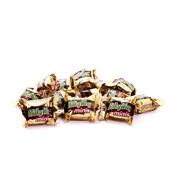 Milky Way Milk Chocolate Minis - 1 LB Resealable Stand Up Storage Bag - Individually Wrapped Chocolates - Bulk Milk Chocolate Candies for Parties or Holidays