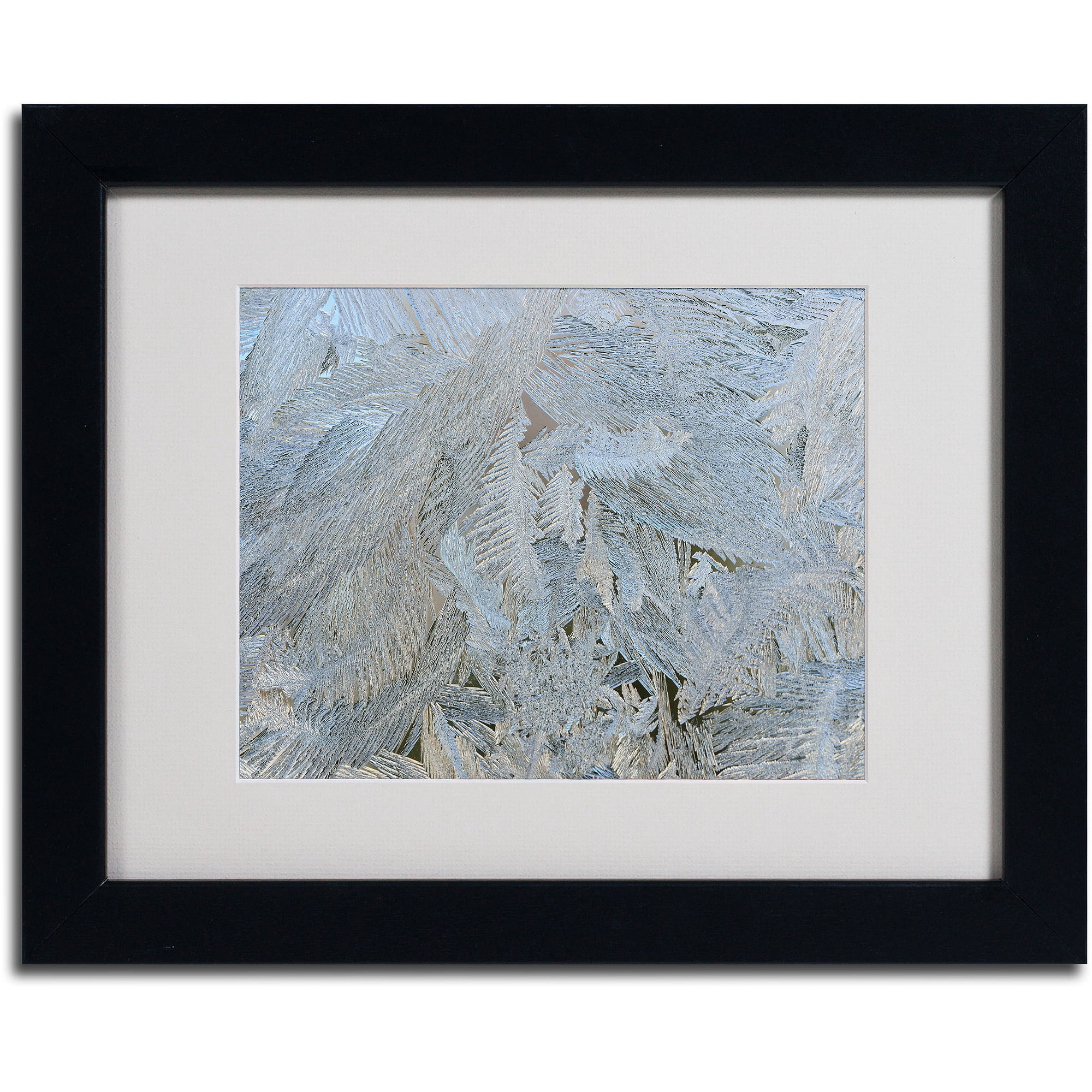 Trademark Fine Art "Frost Pattern #5" by Kurt Shaffer, Black Frame