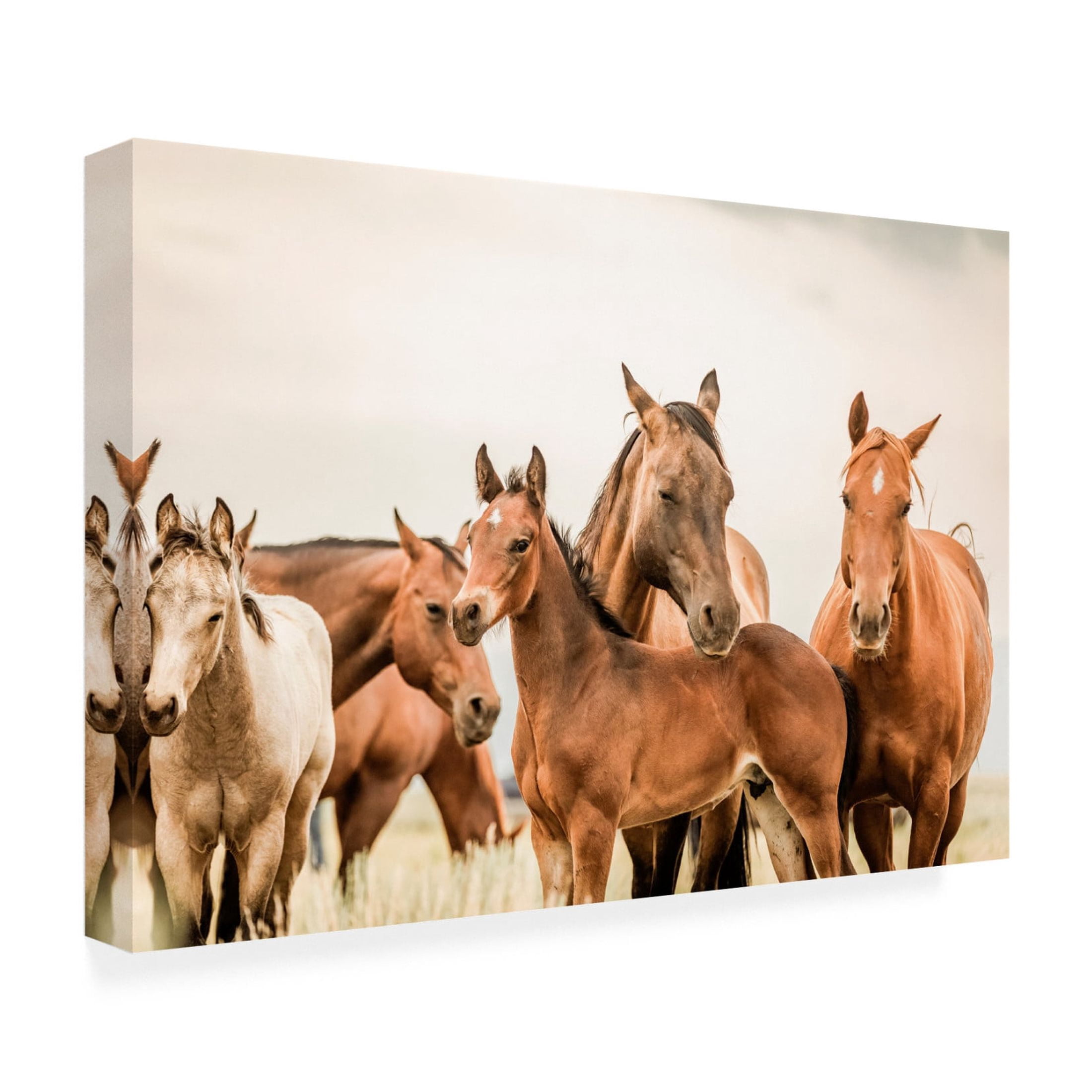 Canvas Wall Art - Krista Broadway 'Hartville' Wall Art for Living Room, Bedroom, or Office Décor by Trademark Fine Art - 19 x 12 Inches