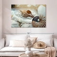 thumbnail image 2 of Elephant Stock Island Tide Pool Iii Wall Art - Horizontal Canvas Wall Art - Living Room Wall Decor - Nautical Canvas - White And Brown Decor By Alan Blaustein - 48" x 32", 2 of 8