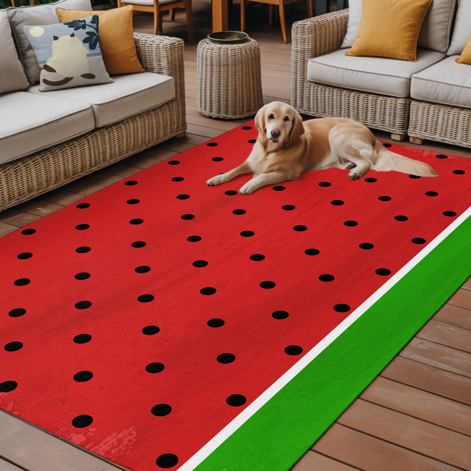 5' x 8' Outdoor Rug, Watermelon Outdoor Washable Rug Large Floor Carpet, Black Polka Dots Green Summer Fruits Non Shedding Area Rug for Outside Patio RV Porch Deck Balcony Camping Living Room