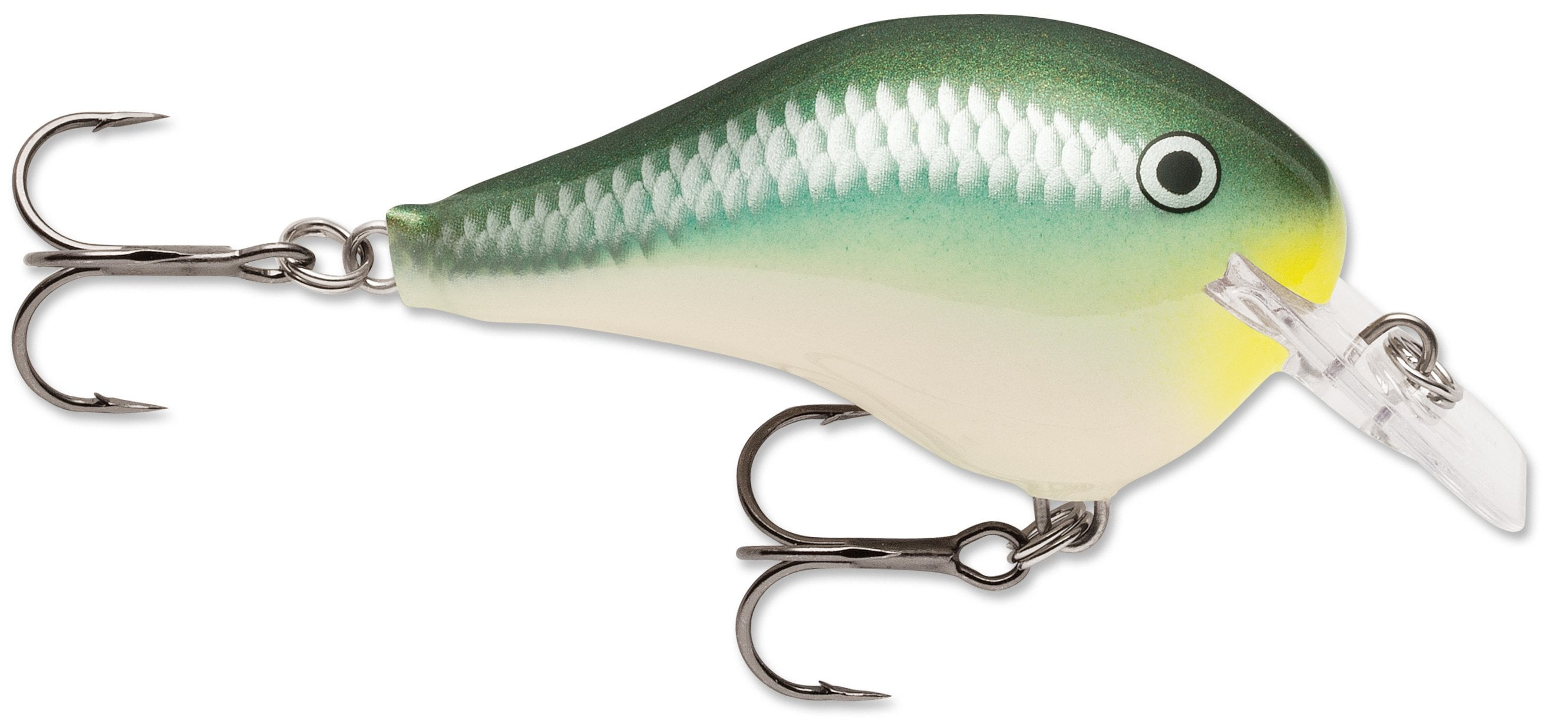 Rapala DT Fat 03 Shallow Square Bill Crankbait - Walmart.com