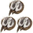thumbnail image 1 of 3 PCS Jardín Pájaros simulados Nido Adorno Pascua Tema Pájaros Nido Decoración, 1 of 8