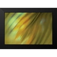 thumbnail image 2 of PI Studio 24x17 Black Modern Framed Museum Art Print Titled - Tie Dye III, 2 of 5