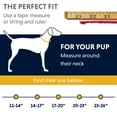 thumbnail image 4 of RUFFWEAR - Headwater Waterproof, Stink-Proof, Reflective Dog Collar, Blue Spring, 17"-20", 4 of 5