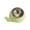 ⭐ Green#443, variant on Tilted Stainless Steel Pet Bowl, 15° Raised Cat and Dog Food Bowl with Non-Slip Base, Feeder for Small to Medium Pets
