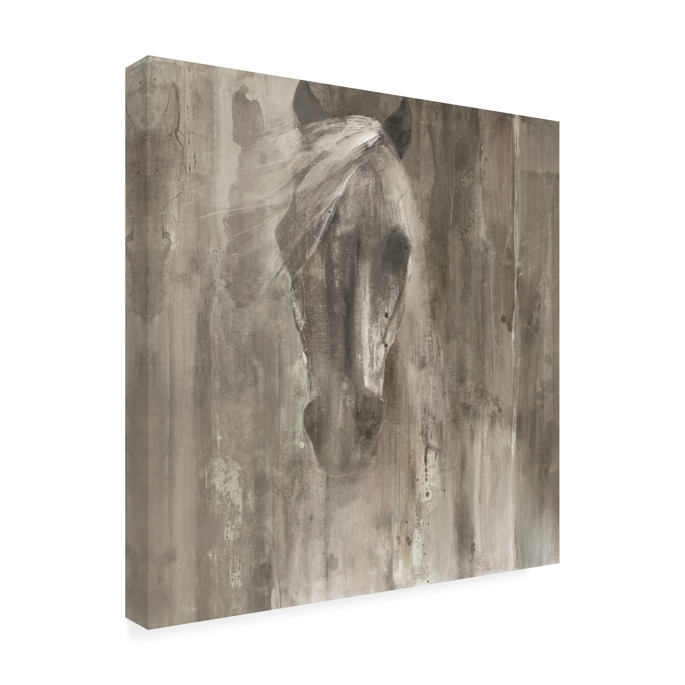 Albena Hristova 'Shadow Light Gray Horse' Canvas Art
