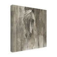 thumbnail image 4 of Albena Hristova 'Shadow Light Gray Horse' Canvas Art, 4 of 4