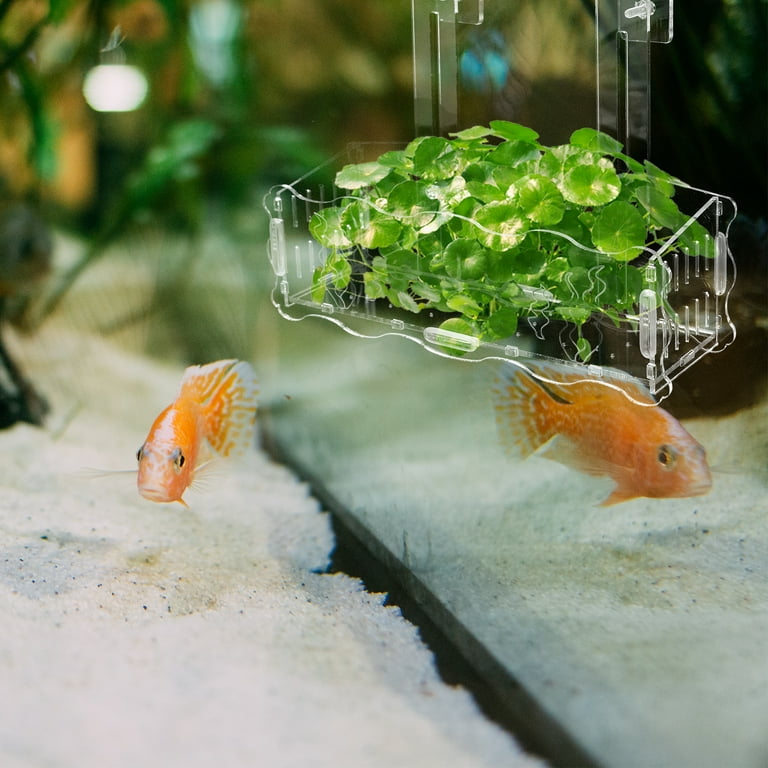 Aquatic Planting Cup Aquarium Planter Pot Pots for Plants Fish Bowl Decorations Tank Acrylic