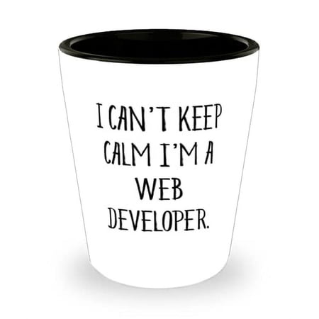 Brilliant Web developer Shot Glass, I Can't Keep Calm I'm a Web Developer, Unique Gifts for Friends, Holiday Gifts