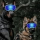 thumbnail image 4 of Gafas de sol para perros gafas a prueba de viento para perros ropa cómoda anticaída a prueba de rayos UV para esquiar ANGGREK Otros, 4 of 8