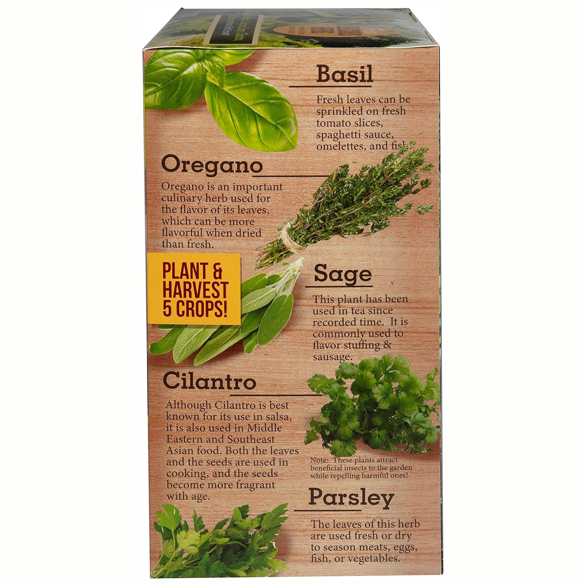 Unique Gardener: Culinary Herb Collection - DIY Biosphere Terrarium Starter Kit, Grow 5 Different Delicious Herb Plants, Kitchen Window Indoor Garden