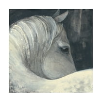 Trademark Fine Art 'Bijou Horse' Canvas Art by Albena Hristova