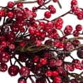 thumbnail image 4 of Design Imports CAMZ37847 DII Frosted Berries Wreath, 4 of 4