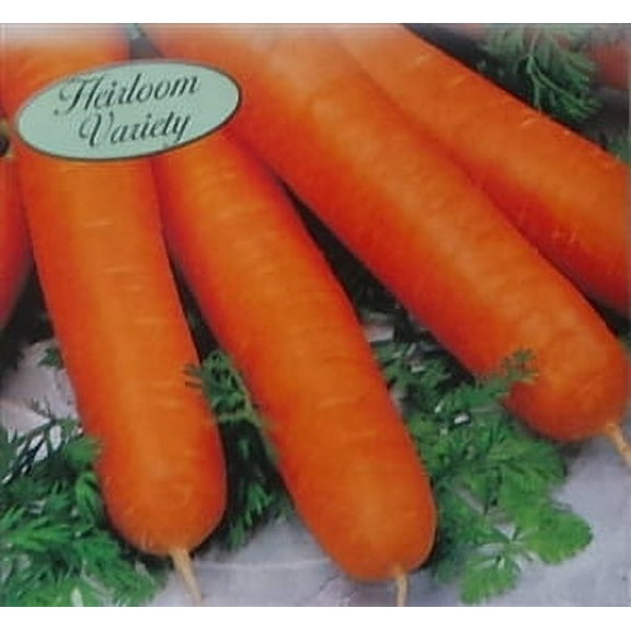 Carrot Nantes Coreless Seed Heirloom - 1 Packet
