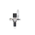 thumbnail image 1 of Triple Filter Element Sinlge/Double Gauge Pressure Regulating Stainless Steel Valve with Bubble Counter CO2 Generator Accessory ,Easy Installation, 1 of 3