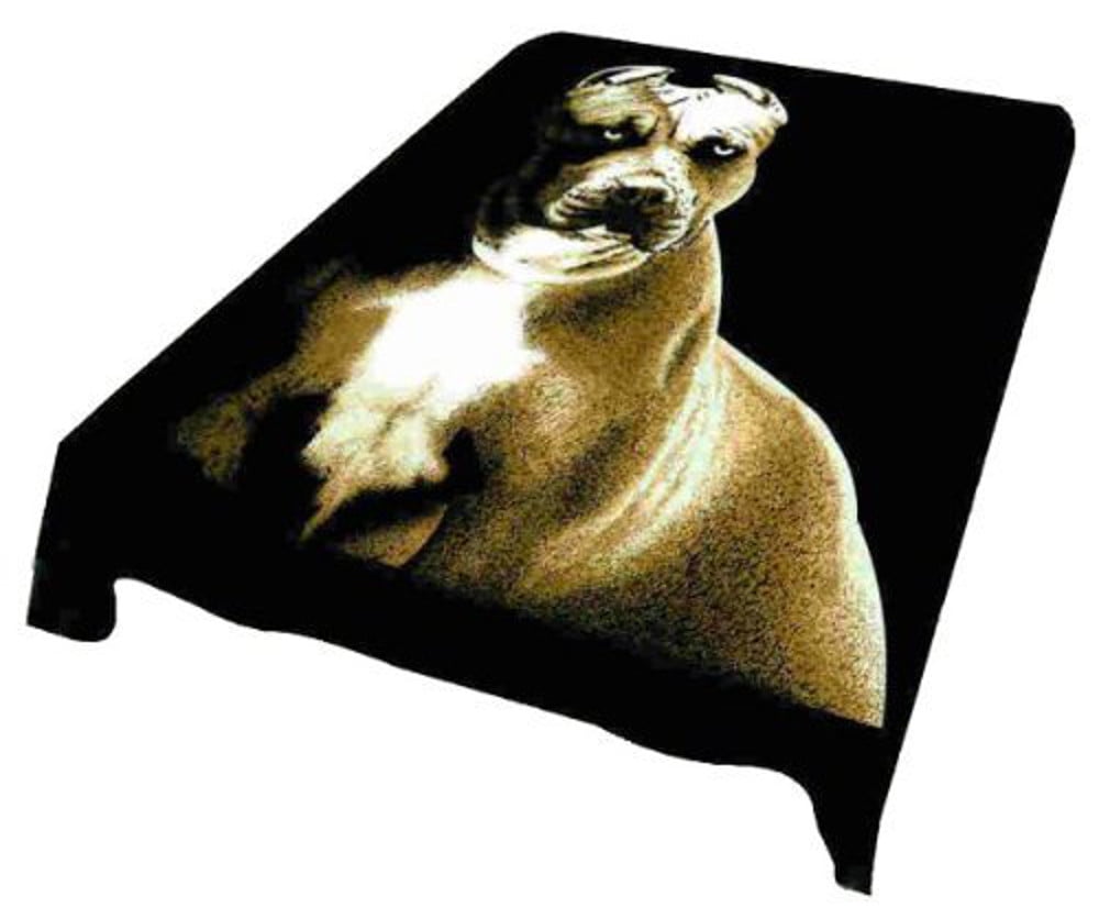 Regal Comfort Jurassic World Logo Faux Fur Mink Throw Blanket 79 x 96 Queen/Full Size 