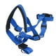 thumbnail image 5 of Protector De Bozal Para Perro, Correa Ajustable, Cubierta Para La Boca Del Perro, Collar Antimorduras, Arnés Para La Cabeza De Perro Para Perros Pequeños, Medias Y Grande,, 5 of 7