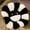 black and white, variant on Rainbow Plush Sunflower Cushion Soft Stuffed Flower Pillow Decor Gift for Little Fans