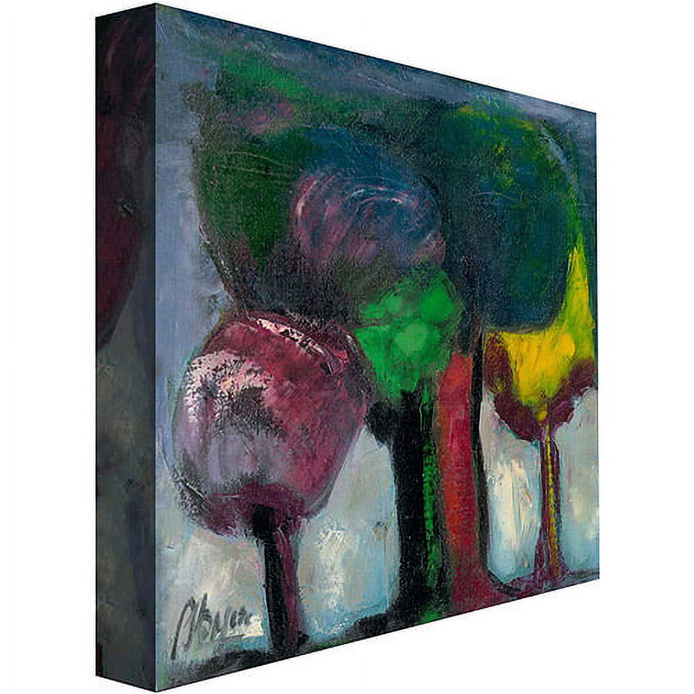 Trademark Fine Art "Bosque de Niebla" Canvas Art by Boyer