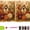 Birdhouse 2, variant on Autumn Pearl Painting Kit, 7.8" 5D Pearl Diamond Art Kits for Adults (Pumpkin) | Beginner - Friendly Crafting, Relaxing Diy Craft To Create Sparkling Fall, Beautiful Seasonal Home Décor