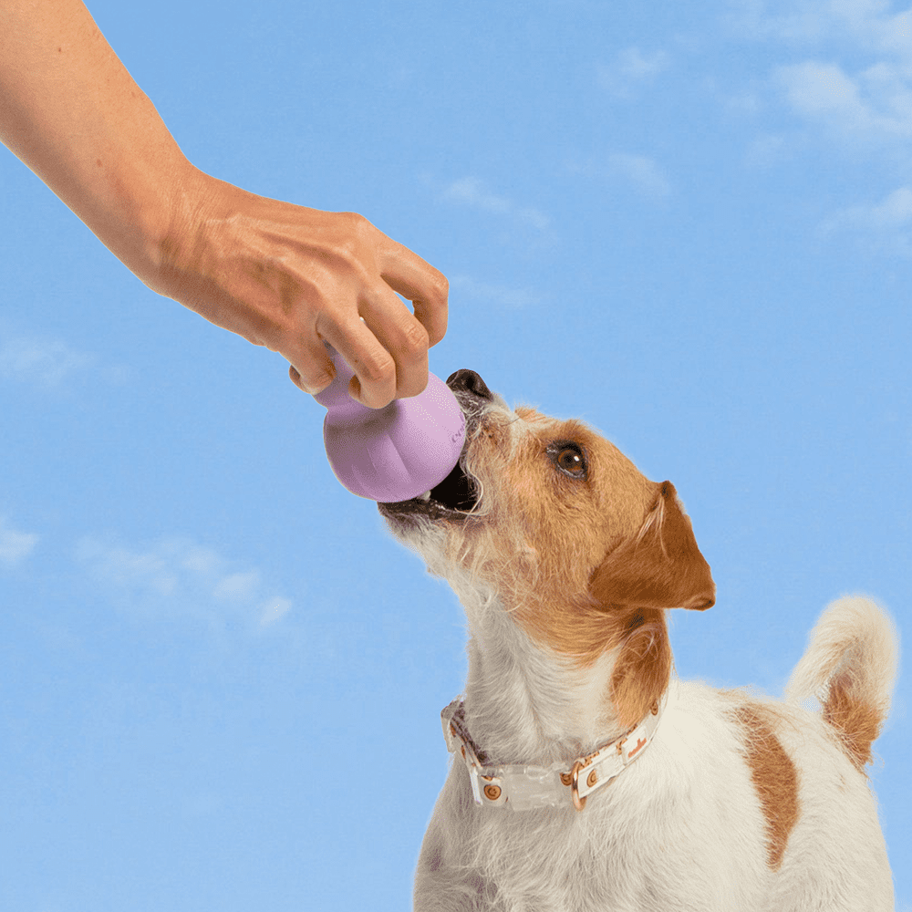 Oodles Durable Rubber Purple Fillable Interactive Dog Treater, Medium