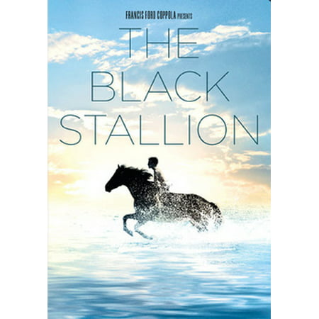 The Black Stallion (DVD) (Best Stallions In The World)