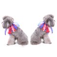 thumbnail image 4 of SOPOTUTU Elastic Dog Collar with Multicolor Pom Poms Decorative Pet Necklace for Comfortable Wear, 4 of 6
