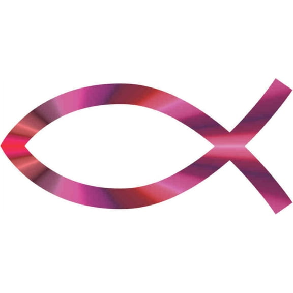 3.25in x 1.5in Pink Rays Christian Fish Sticker
