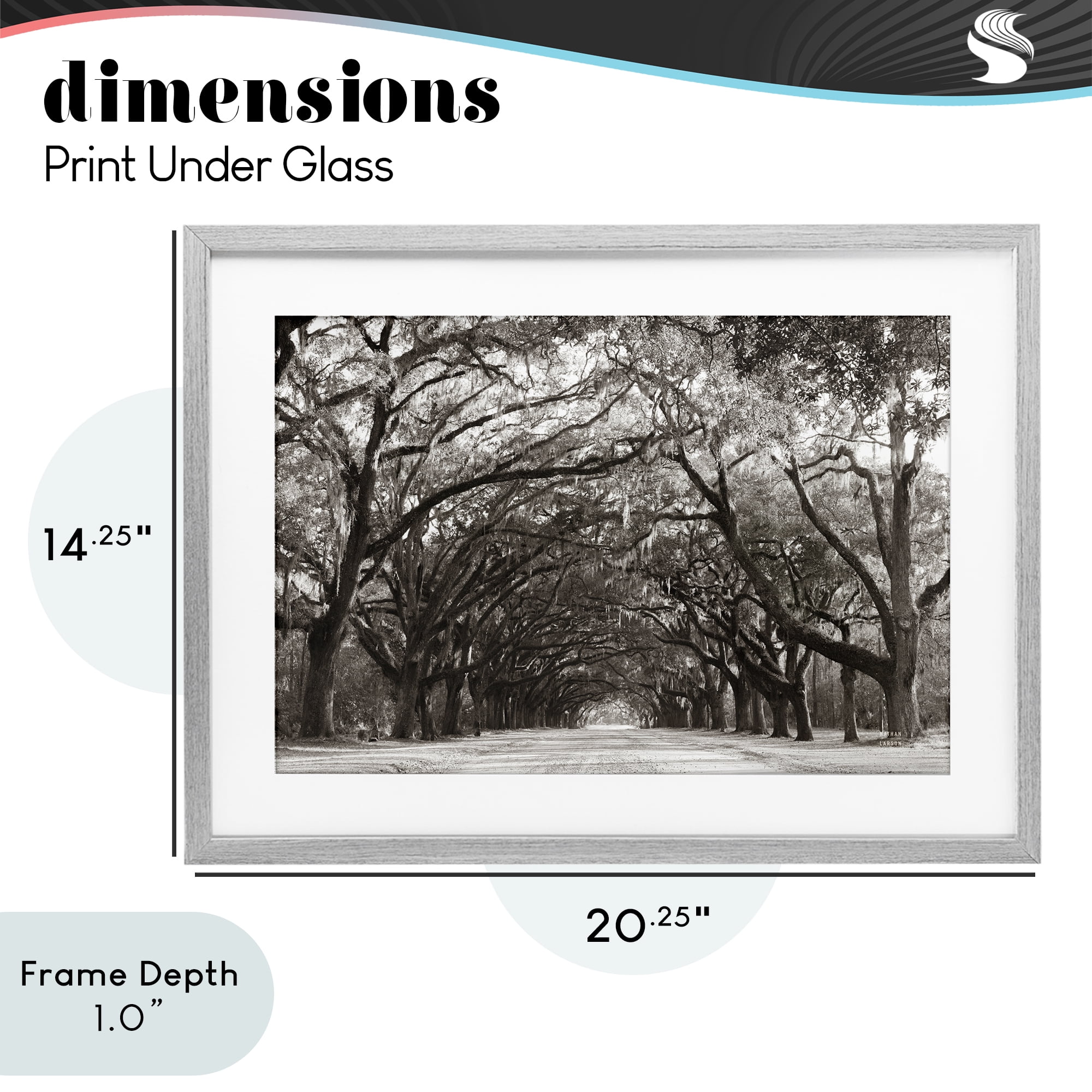 Stupell Industries Georgia Stroll Tree Tunnel Gray Framed Print Under Glass, design by Nathan Larson